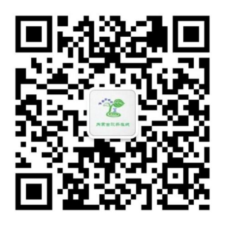 九游老哥·(中国)俱乐部官方网站